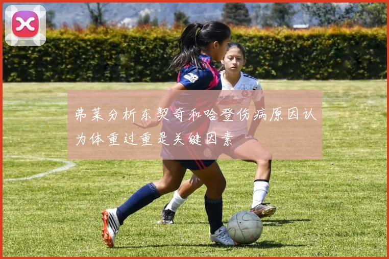 弗莱分析东契奇和哈登伤病原因认为体重过重是关键因素